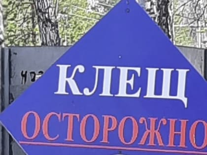 За неделю клещи укусили шесть человек