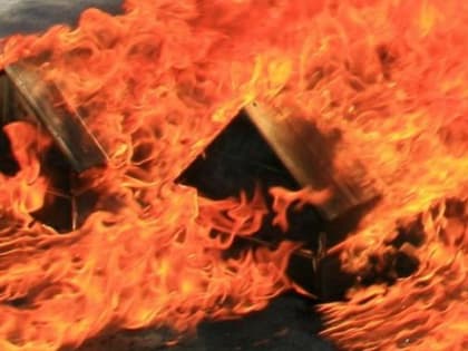 В Новосибирской области за минувшие сутки произошло 20 пожаров