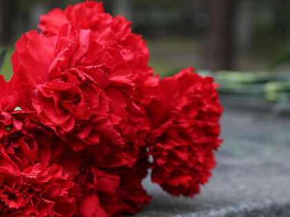 Сведения о стрелке из войск НКВД собирают в Новосибирске