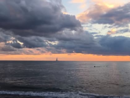 Новосибирские ученые выловили в Черном море неизвестный науке организм