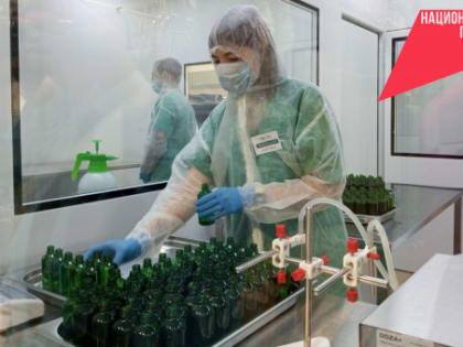 Биотехнологические разработки региональных ученых получили новый импульс