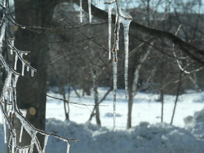 До +3 градусов потеплеет в День защитника Отечества в Новосибирске