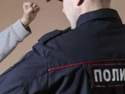 Двое жителей Татарска осуждены за нападение на сотрудников полиции в подъезде дома по улице Наливной