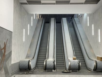 Возбуждено уголовное дело в связи с нарушением сроков строительства станции метро «Спортивная»