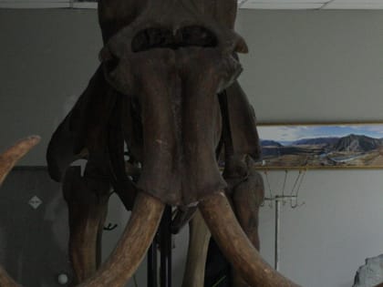 О мамонтах и хрустальных топорах расскажут в Музее на набережной