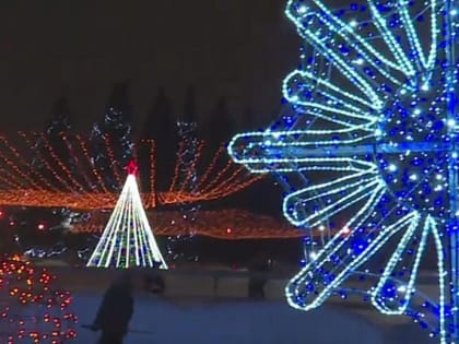 Новосибирцев просят оценить каток с мини-кофейней в Кировке