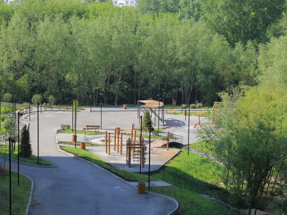 Митя Фомин откроет новый Ельцовский парк в Новосибирске