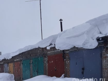 Собака упала в смотровую яму в гараже в поселке Плановом