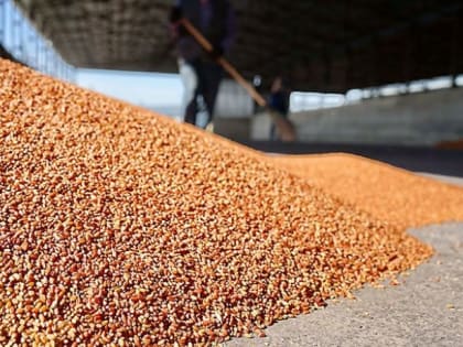 Незаменимых нет