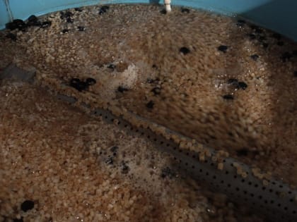 Современные технологии в производстве кормов для рыбы и морепродуктов