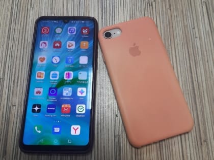 18 преступлений за месяц совершил в Новосибирске житель Алтайского края