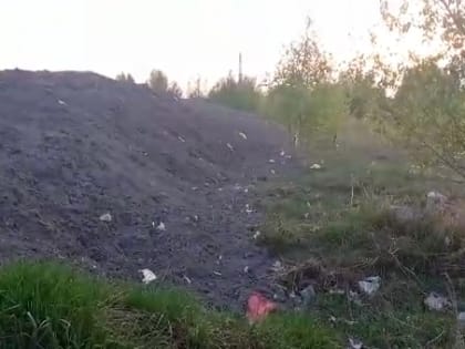 В Советском районе грязные воды снегоотвала затопили улицы посёлка Огурцово