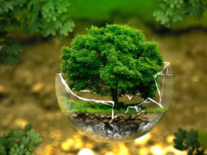 Новосибирская область получит 90 млн рублей на создание экопарка в Оби