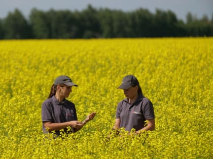 Успехи компании «Агродоктор» в национальном проекте «Производительность труда»