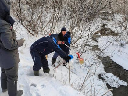 Загрязнителем реки в Новосибирске оказалась местная психбольница