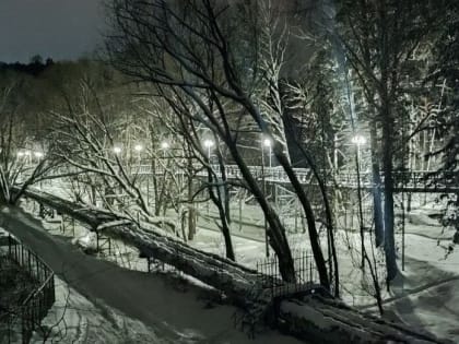 На пешеходном мосту из Академгородка в поселок Кирова заработали фонари