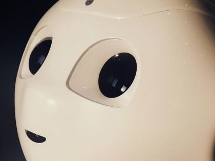 Новосибирский робот Николай побил рекорд по числу принятых вызовов