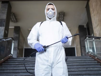 Химическая атака на клещей начнется в Новосибирске с 15 апреля