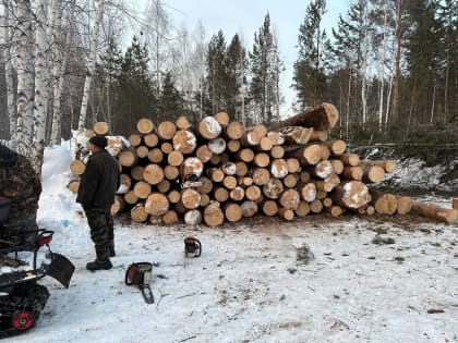 На участке бывшего лагеря «Юный медик» вырубают лес