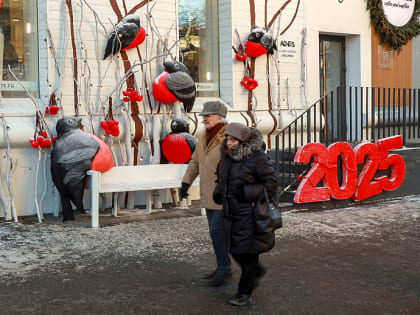 Техзадание для пешеходной улицы Ленина подготовят в&nbsp;начале марта