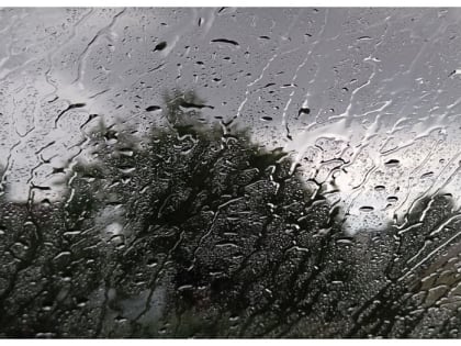 В Новосибирске потеплеет до +11 и пойдут дожди в первую неделю апреля