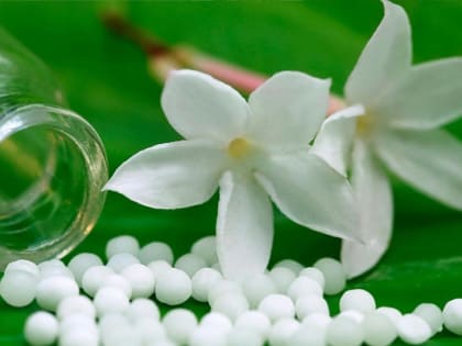 Каждый пятый новосибирец доверят гомеопатии