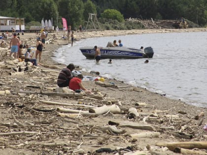 «Зелёный субботник» с бардами устроят на пляже Академгородка