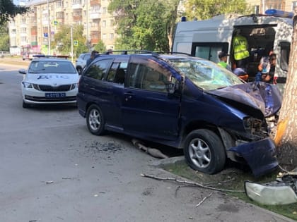 Водитель автомобиля пострадал после столкновения с деревом в Новосибирске