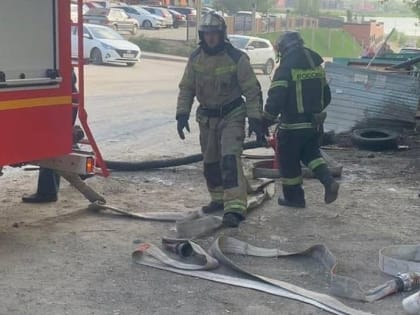 Поджог тополиного пуха вызвал пожар возле школы в Новосибирске