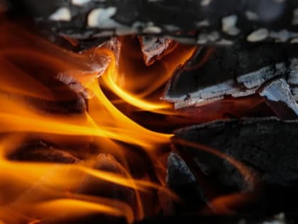 Дроны и специальный препарат применят для борьбы с лесными пожарами