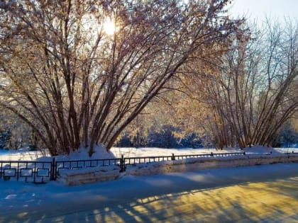 На следующей неделе в Новосибирске потеплеет до +12 градусов