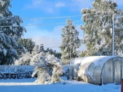 В Томске выпал снег. Ждём июньского снегопада в Новосибирске?