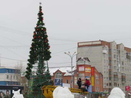 Новую искусственную ёлку поставят в Новом посёлке в Бердске