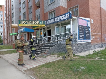 Проверила на бдительность пожарных Бердска семья с малолетним ребёнком в День России