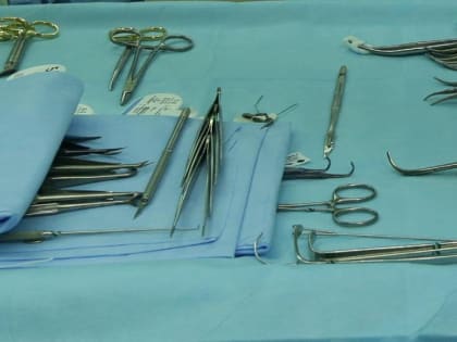 Беременную зайчиху спасли от собак на заводе Чкалова в Новосибирске