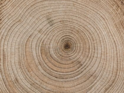 В Томской области начнут развивать новые отрасли промышленности