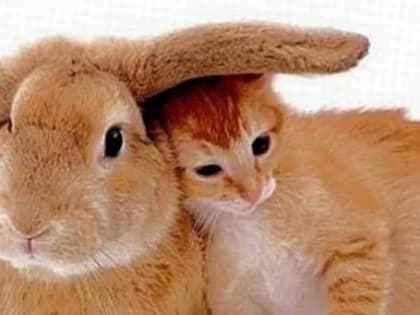 Погода в Новосибирске 25 мая: над городом ясное небо