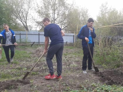 В новосибирском поселке Северном волонтеры, при поддержке единороссов, навели порядок во дворах одиноких пенсионеров