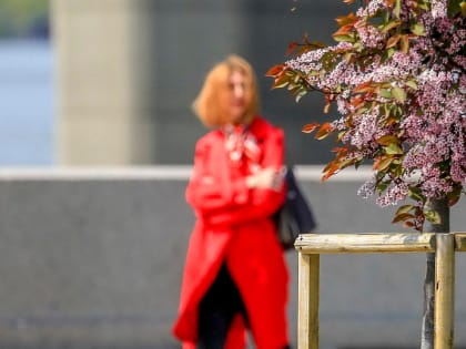 Если вы пропустили: торт-баржа, память из хрусталя и цветущий антидепрессант