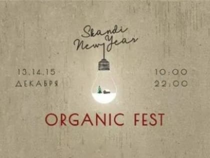 Молодёжь Новосибирска приглашают на Organic Fest в скандинавском стиле