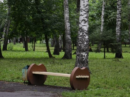 На реконструкцию парка «Берёзовая роща» потребуется около пяти лет