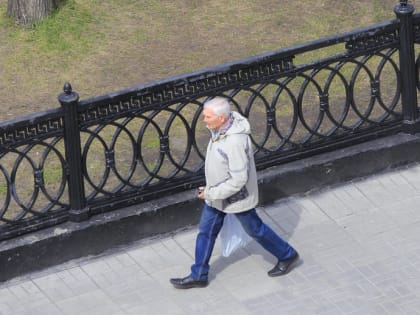 О заморозках до −3 градусов предупредили жителей Новосибирской области