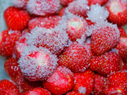 Диетолог из Новосибирска рассказала, какие консервы полезнее свежих продуктов