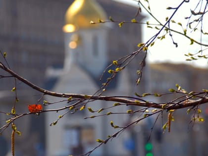 Нетипичная для мая прохлада задержится в Новосибирске до выходных