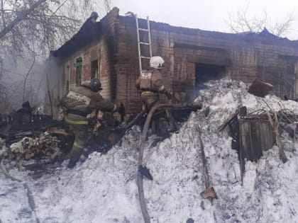 Двое детей погибли в сгоревшем доме в Новосибирской области