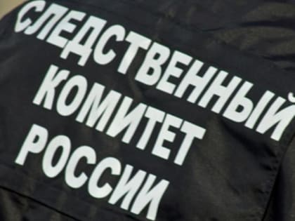 Пенсионерка из Новосибирской области подозревается в уголовном преступлении