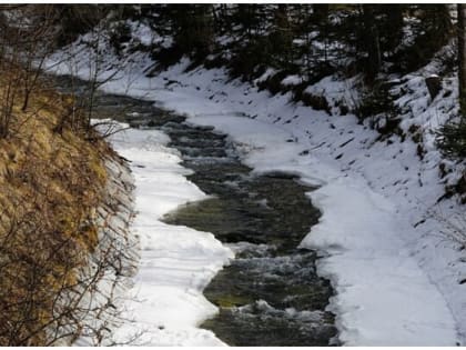 В Новосибирске на этой неделе потеплеет до +1 градуса