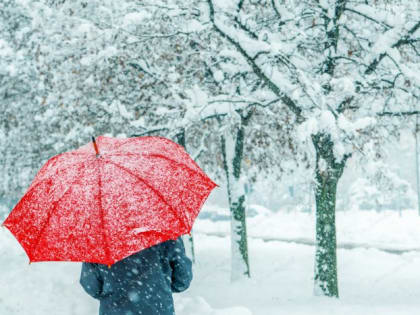 20-градусные перепады температуры обещают новосибирцам