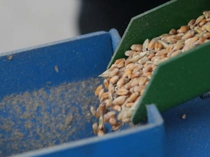 Минсельхоз: рекордный урожай зерна 2022 года сократит ущерб от засухи