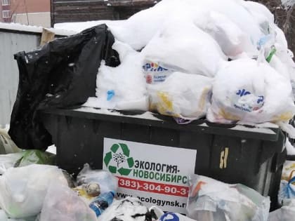 Проблемы с вывозом мусора в Ленинском районе объяснили техническим сбоем